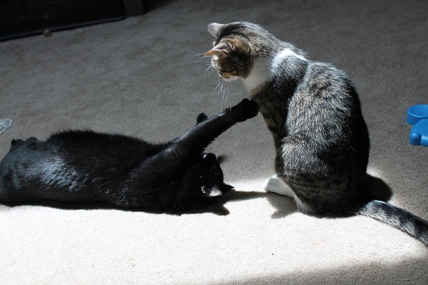 Norie playing "I'm not touching you."