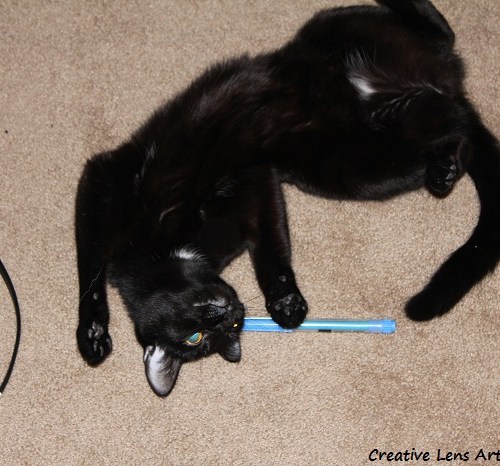 Norie loves to play with straws and anything plastic and long