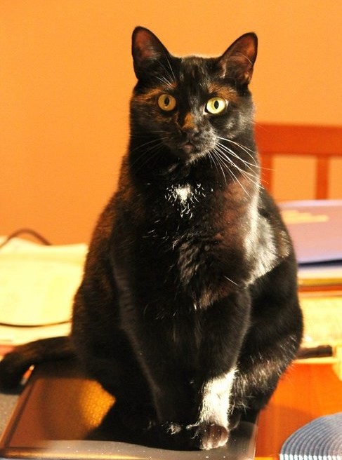 This image has an empty alt attribute; its file name is beauty-048.jpg