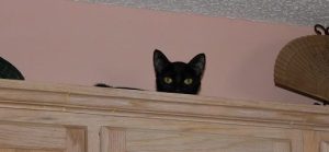 I am invisible here, you can not see me.