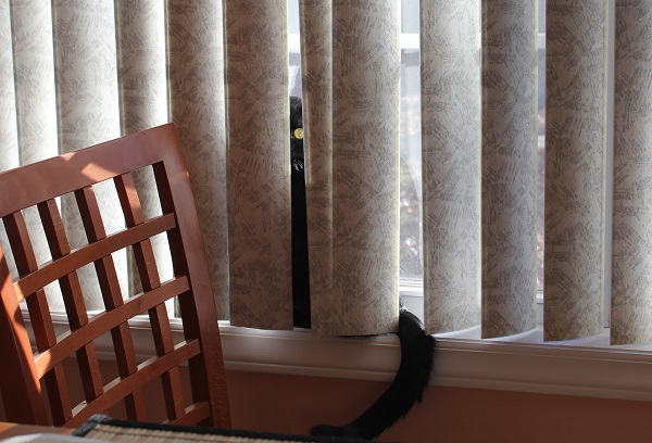 David and Cara's 002