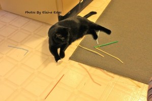 Norie with her mixed prizes.