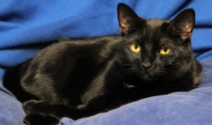 I am beautiful and I know it.