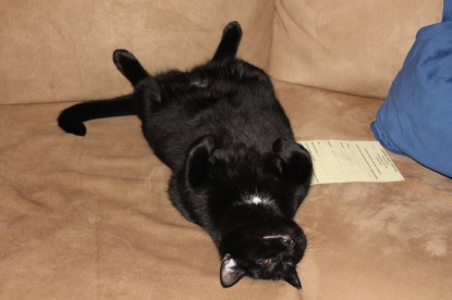 Washington,DC 001 - Copy