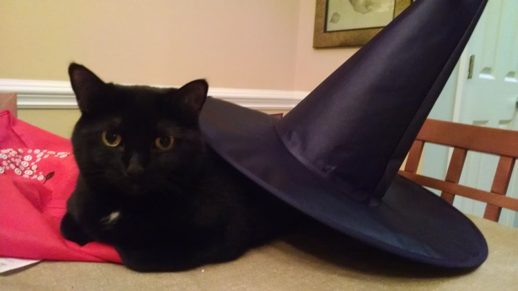 Norie with witch's ha