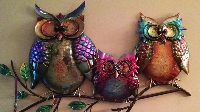 Three funny owls to increase the animal energy and humor.