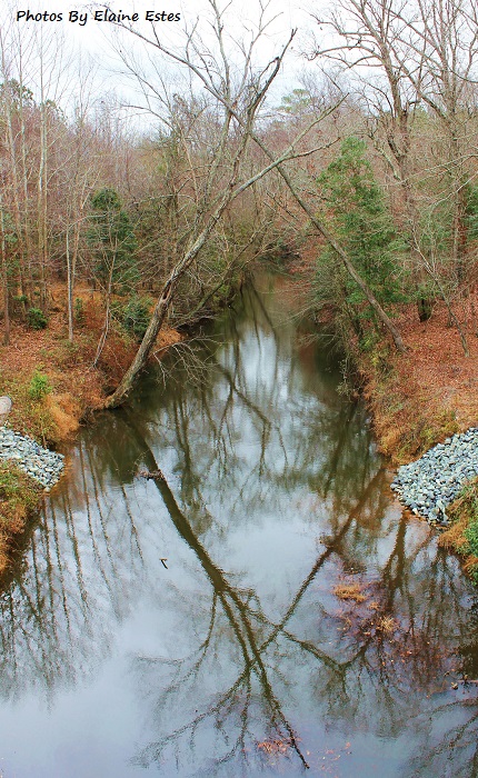 "Hands across the water"? Or a diamond of trees and their reflections. 