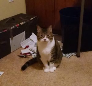 Sister moves in closer for the guilt trip.