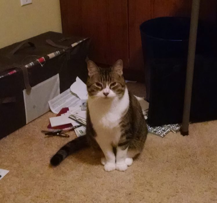 Sister moves in closer for the guilt trip.