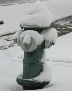 Snow Bound Fire Hydrant