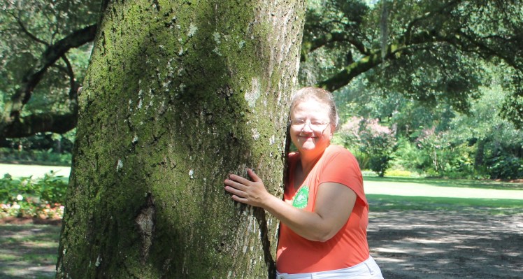 Tree Hugger