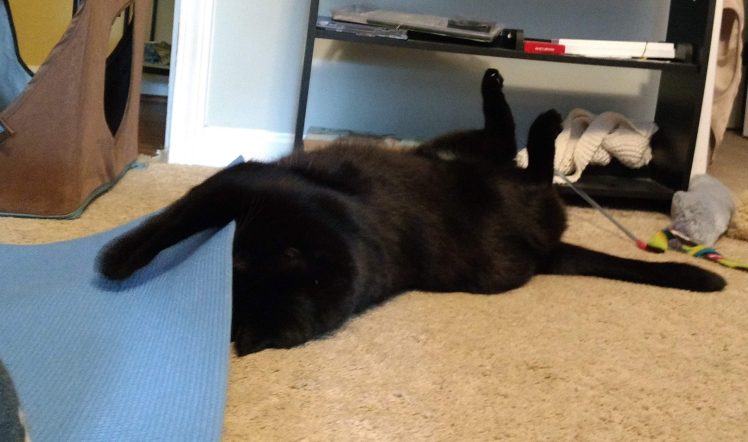 Norie reaching under yoga mat for favorite straw.