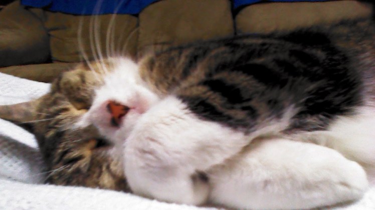 This image has an empty alt attribute; its file name is img_20140415_122210_885-sleeping-sister.jpg