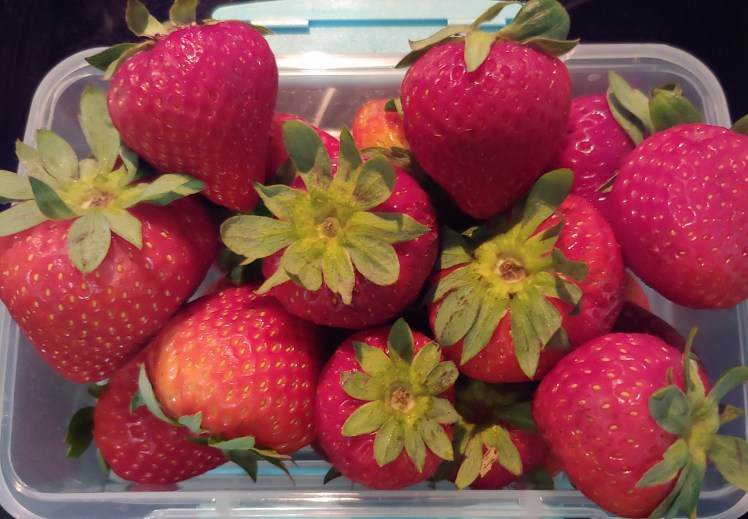 This image has an empty alt attribute; its file name is 0720191126a.jpg