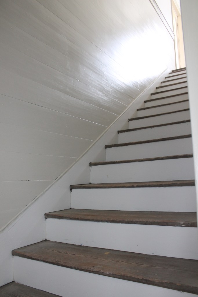 This image has an empty alt attribute; its file name is oak-grove-plantation-071.jpg