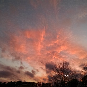 Beautiful orange-pink sunset.