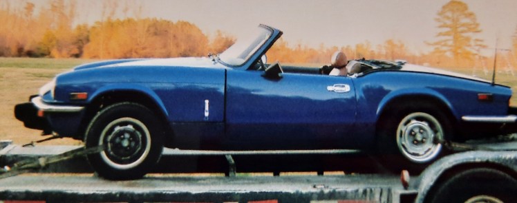 I once had a golden spitfire