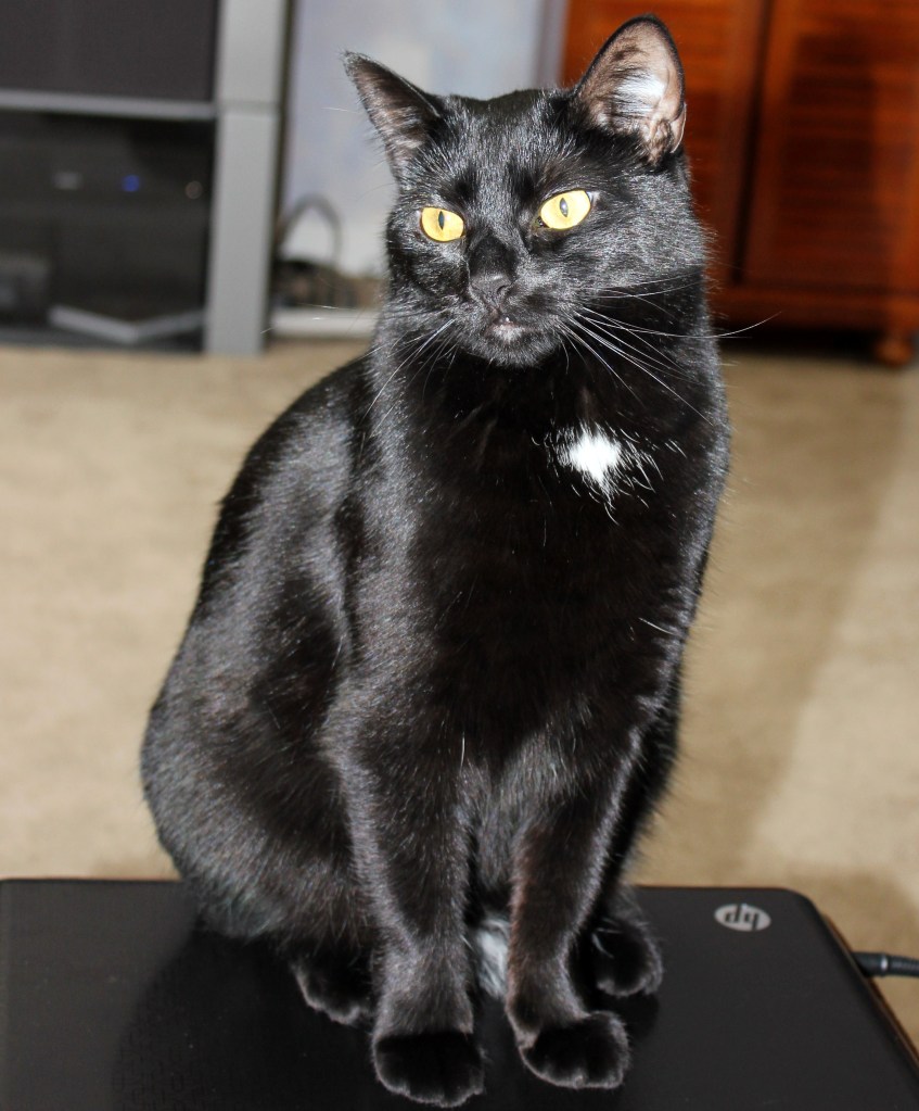 I'm beautiful and I know it.